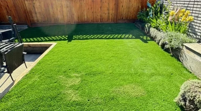 Transform Your Outdoor Space with Professional Lawn Care in Surrey