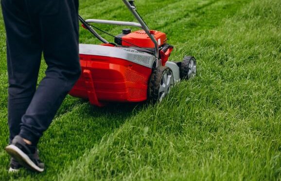 The Benefits of Hiring a Professional SOD Grass Installation Service in Vancouver