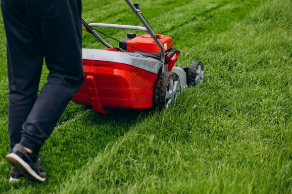 sod grass installations