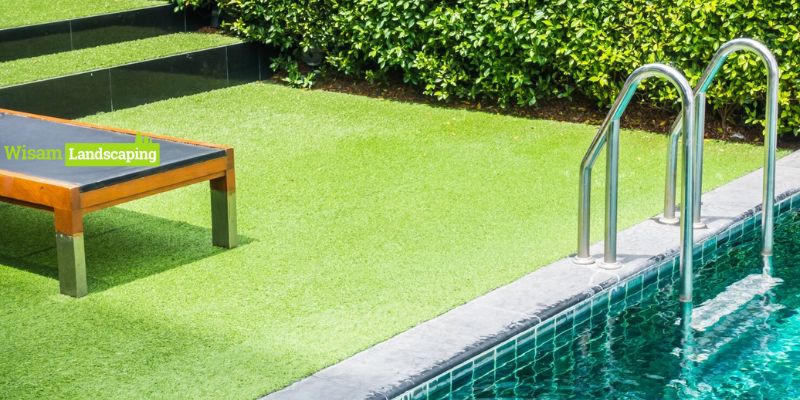low maintenance lawn alternatives